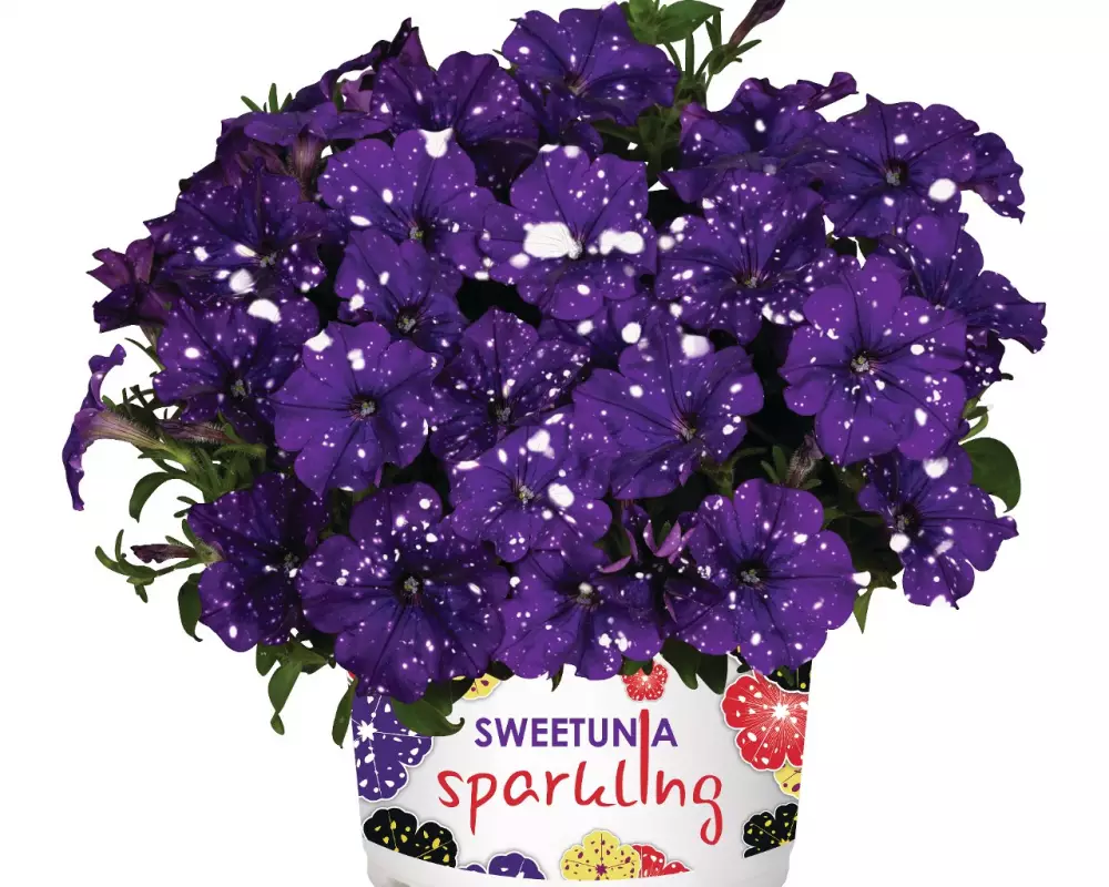 Петуния Sparkling Blue (100 шт.)